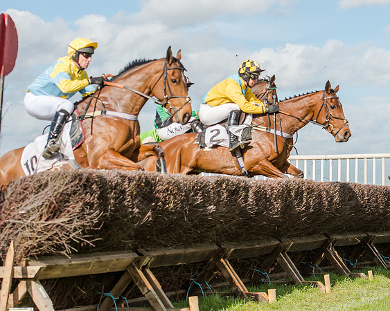 Race 1 - 2m4f Young Horse Maiden (69 of 153)