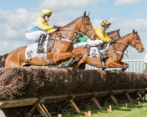 Race 1 - 2m4f Young Horse Maiden (70 of 153)