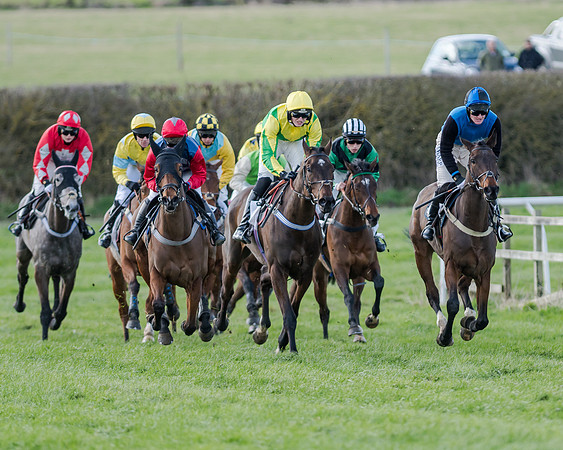 Race 1 - 2m4f Young Horse Maiden (79 of 153)