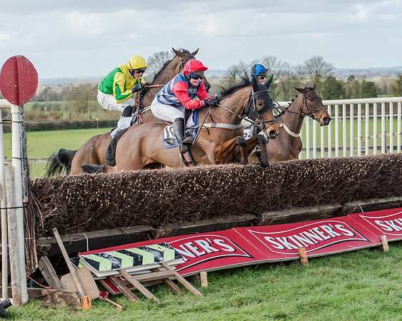 Race 1 - 2m4f Young Horse Maiden (86 of 153)