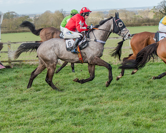 Race 1 - 2m4f Young Horse Maiden (99 of 153)