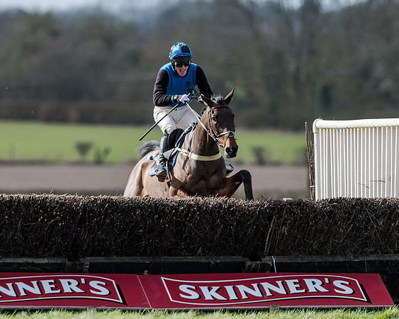 Race 1 - 2m4f Young Horse Maiden (110 of 153)