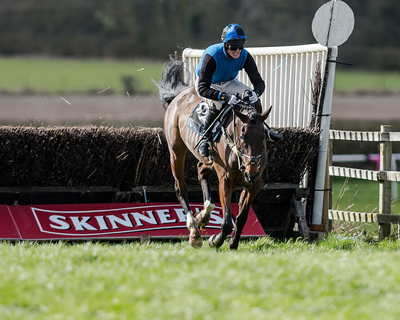 Race 1 - 2m4f Young Horse Maiden (115 of 153)