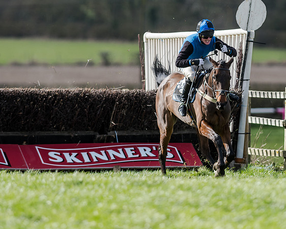 Race 1 - 2m4f Young Horse Maiden (116 of 153)