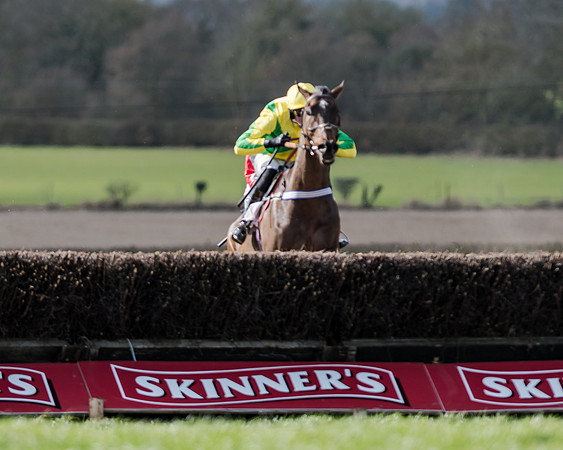 Race 1 - 2m4f Young Horse Maiden (118 of 153)