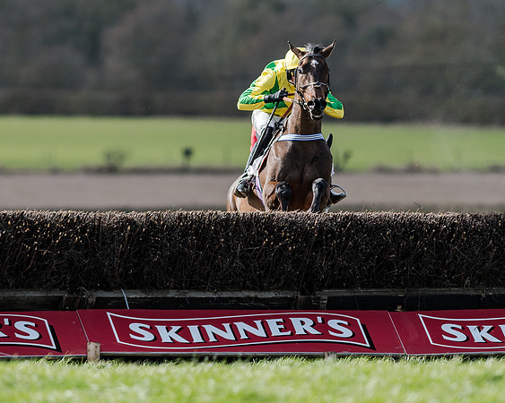 Race 1 - 2m4f Young Horse Maiden (119 of 153)