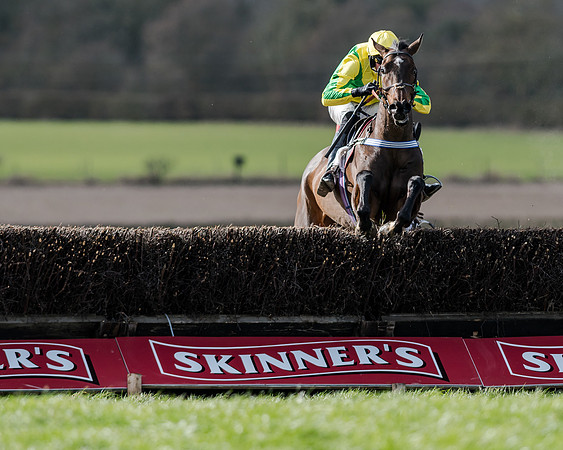 Race 1 - 2m4f Young Horse Maiden (120 of 153)