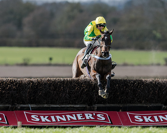 Race 1 - 2m4f Young Horse Maiden (121 of 153)