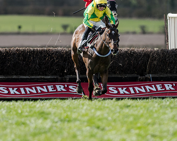 Race 1 - 2m4f Young Horse Maiden (123 of 153)