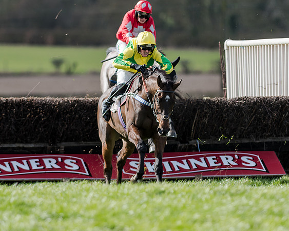 Race 1 - 2m4f Young Horse Maiden (125 of 153)