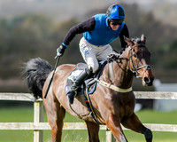 Race 1 - 2m4F Maiden