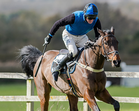 Race 1 - 2m4f Young Horse Maiden (127 of 153)
