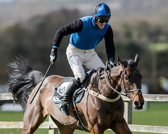 Race 1 - 2m4f Young Horse Maiden (128 of 153)