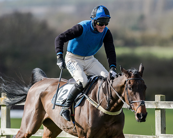 Race 1 - 2m4f Young Horse Maiden (129 of 153)