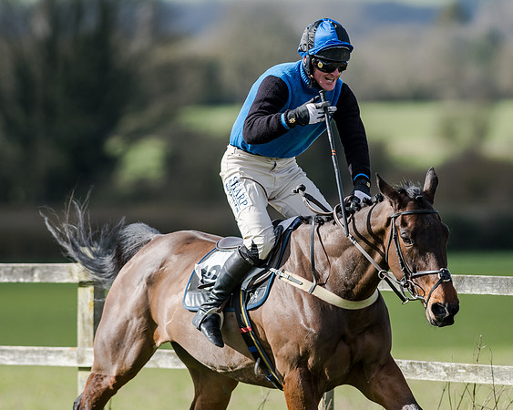 Race 1 - 2m4f Young Horse Maiden (130 of 153)