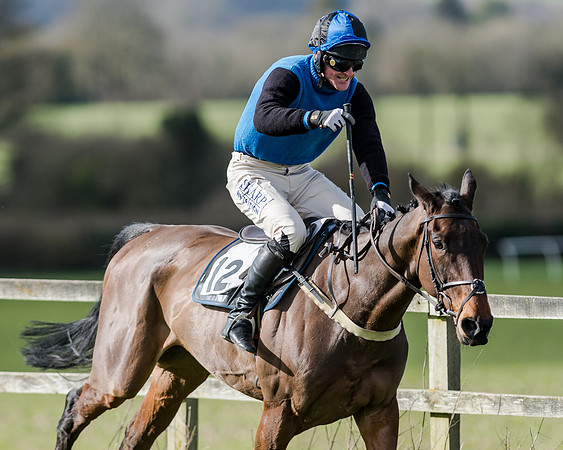 Race 1 - 2m4f Young Horse Maiden (131 of 153)