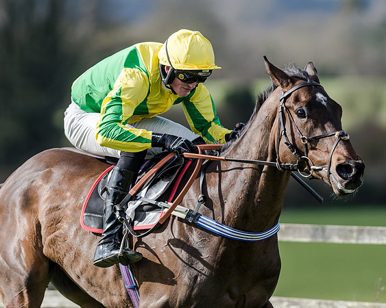Race 1 - 2m4f Young Horse Maiden (133 of 153)