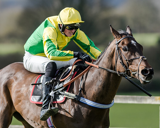 Race 1 - 2m4f Young Horse Maiden (132 of 153)
