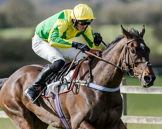 Race 1 - 2m4f Young Horse Maiden (134 of 153)