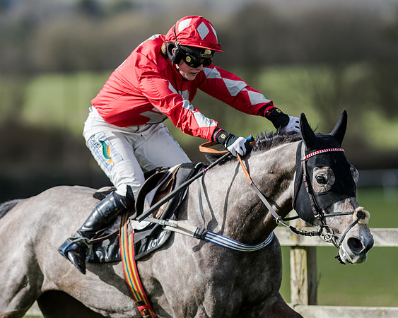 Race 1 - 2m4f Young Horse Maiden (135 of 153)