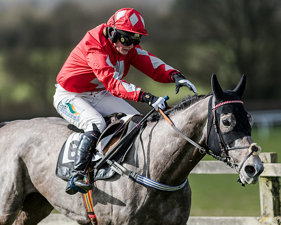 Race 1 - 2m4f Young Horse Maiden (136 of 153)