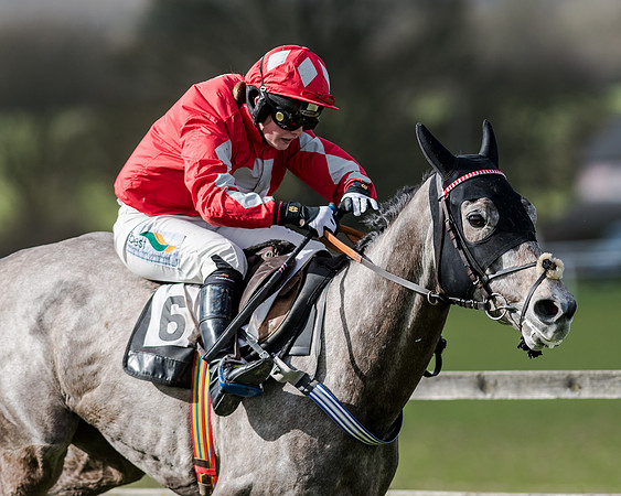 Race 1 - 2m4f Young Horse Maiden (137 of 153)