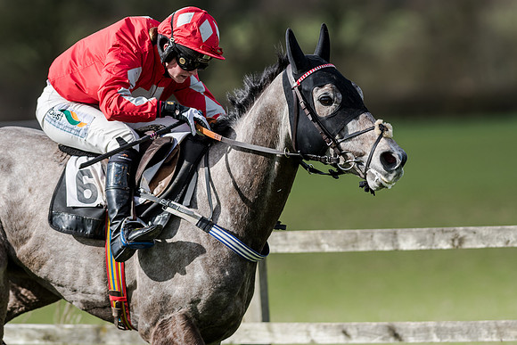 Race 1 - 2m4f Young Horse Maiden (138 of 153)