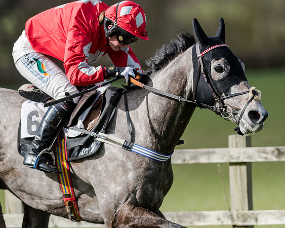 Race 1 - 2m4f Young Horse Maiden (139 of 153)