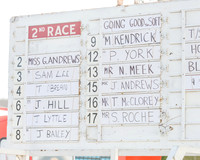 Race 2 - Open Maiden (1 of 131)