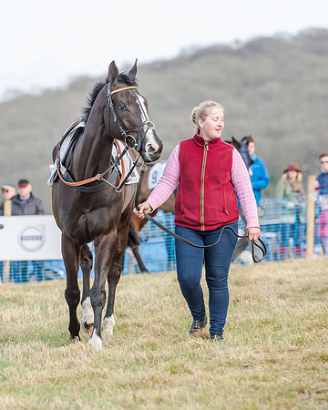 Race 2 - Open Maiden (2 of 131)