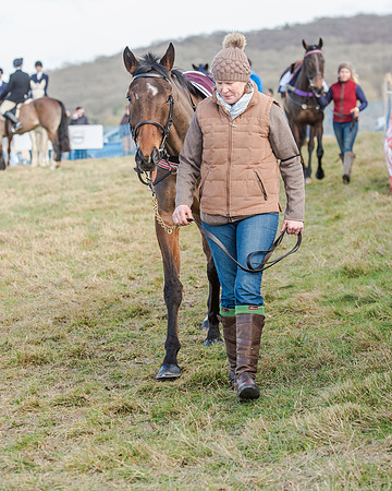Race 2 - Open Maiden (4 of 131)