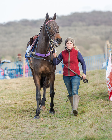 Race 2 - Open Maiden (5 of 131)