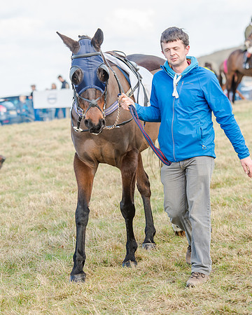 Race 2 - Open Maiden (7 of 131)