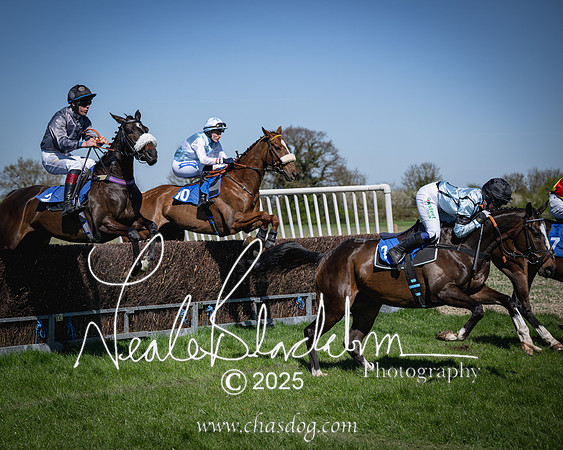 Race 2 - The Maiden (59 of 118)