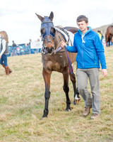 Race 2 - Open Maiden (8 of 131)