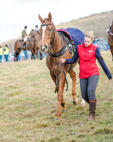 Race 2 - Open Maiden (10 of 131)