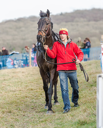 Race 2 - Open Maiden (13 of 131)