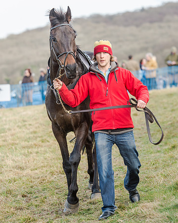Race 2 - Open Maiden (14 of 131)