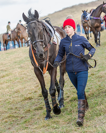 Race 2 - Open Maiden (17 of 131)