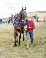 Race 2 - Open Maiden (19 of 131)
