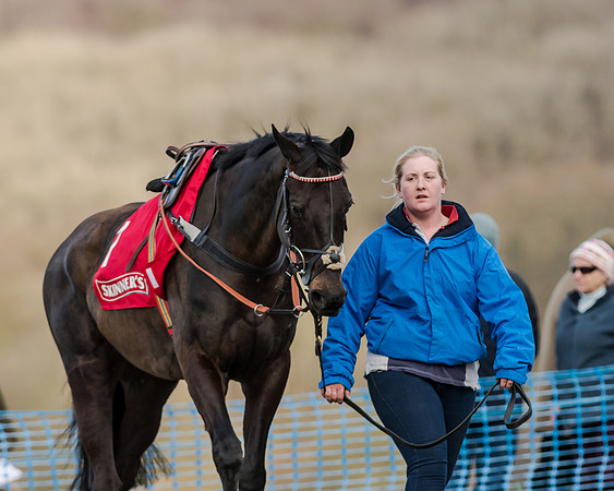 Race 4 - Ladies Open (7 of 117)