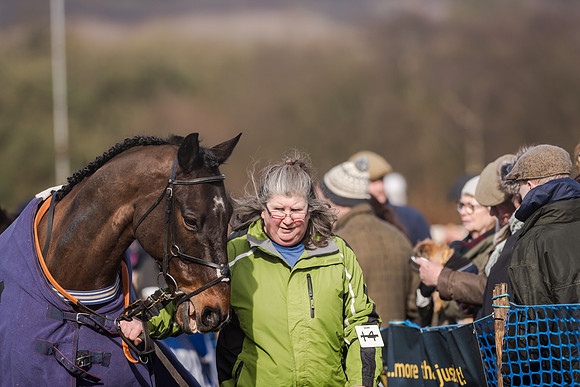 Race 2 - Novice and Veteran Riders (2 of 154)