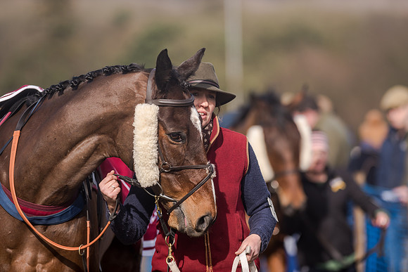 Race 2 - Novice and Veteran Riders (10 of 154)