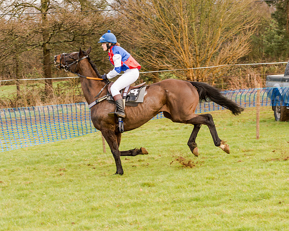 Race 2 - Novice and Veteran Riders (31 of 154)