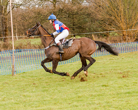 Race 2 - Novice and Veteran Riders (32 of 154)