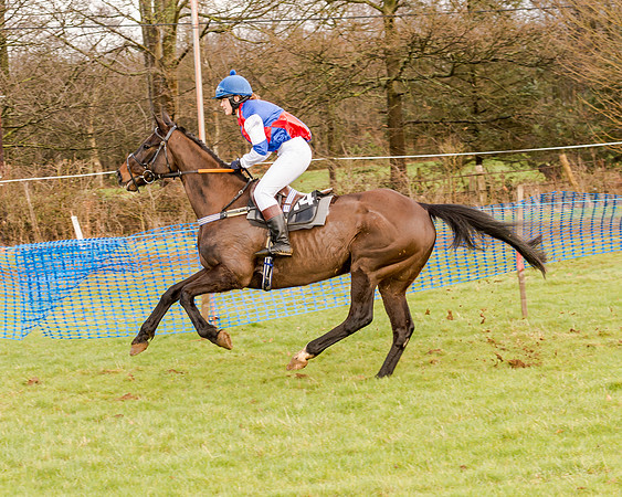 Race 2 - Novice and Veteran Riders (33 of 154)