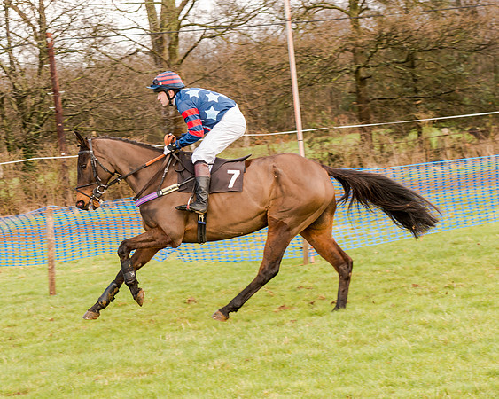 Race 2 - Novice and Veteran Riders (36 of 154)