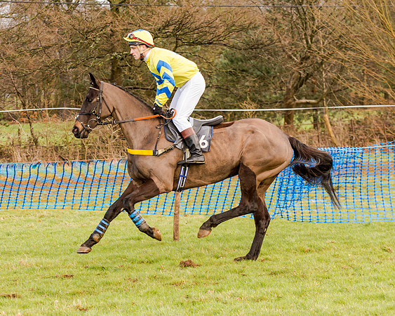 Race 2 - Novice and Veteran Riders (37 of 154)