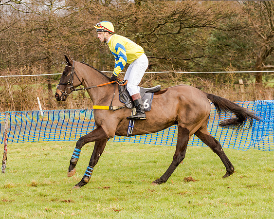 Race 2 - Novice and Veteran Riders (38 of 154)