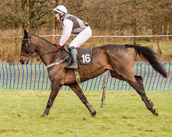Race 2 - Novice and Veteran Riders (40 of 154)